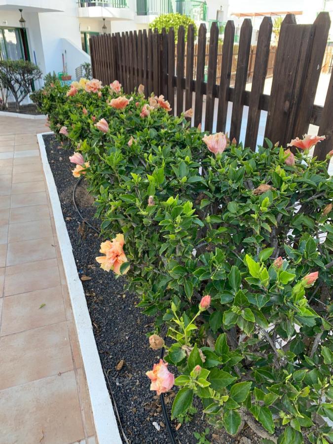 San Valentine Appartement Corralejo Buitenkant foto